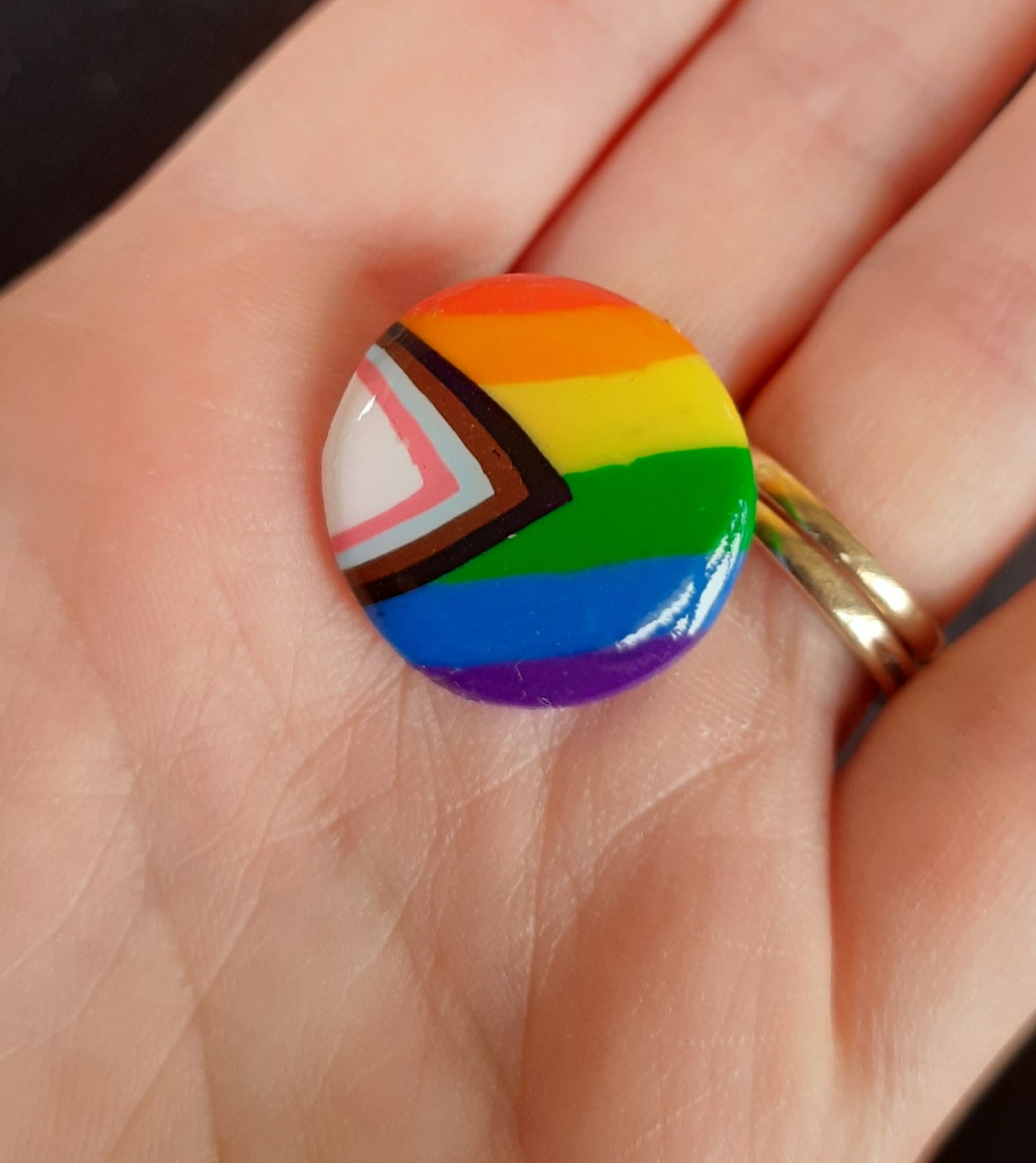 Progress Flag - NZ Polymer Clay Earrings