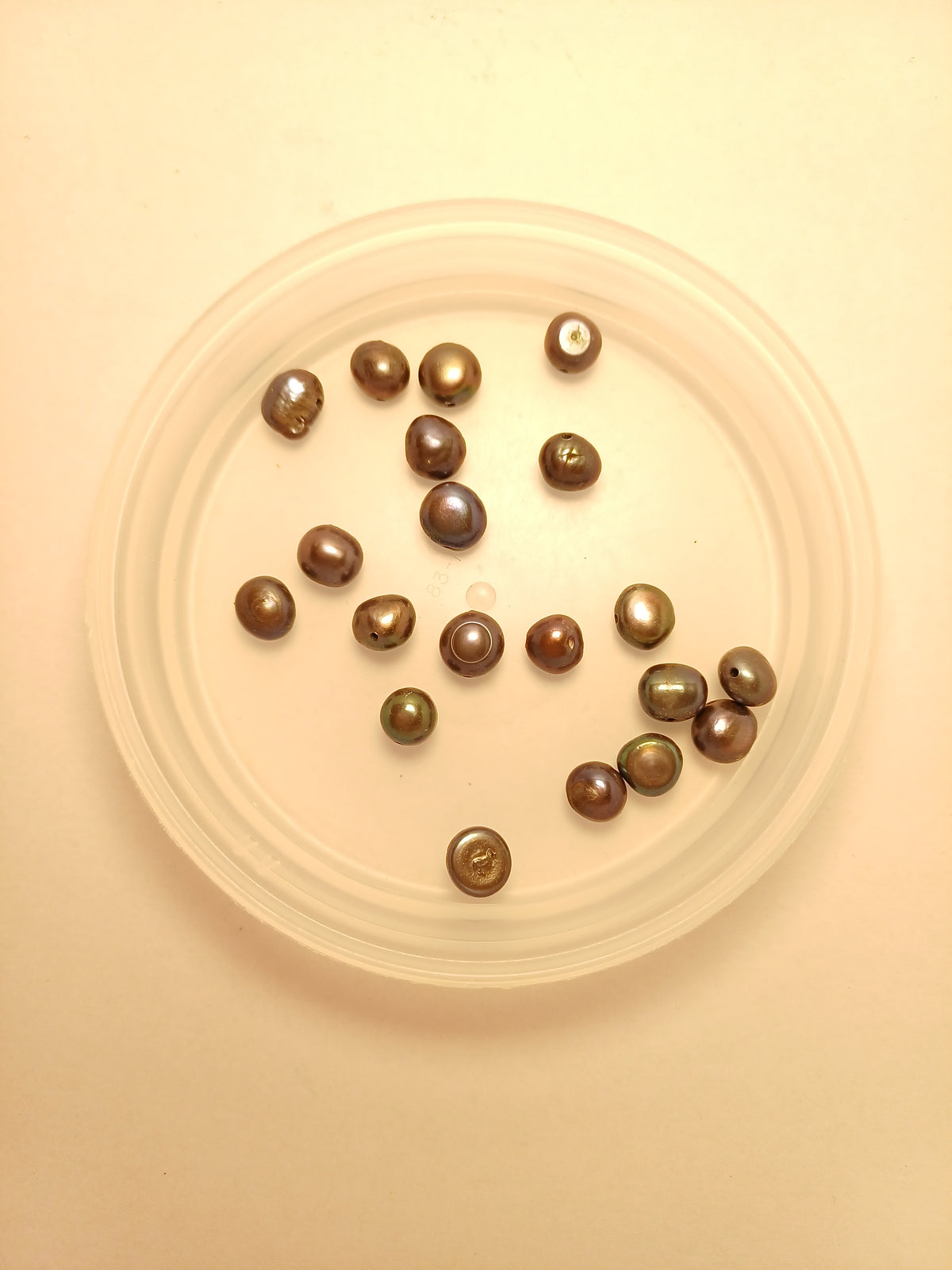 Large Gunmetal Grey Freshwater Pearls ( as shown)