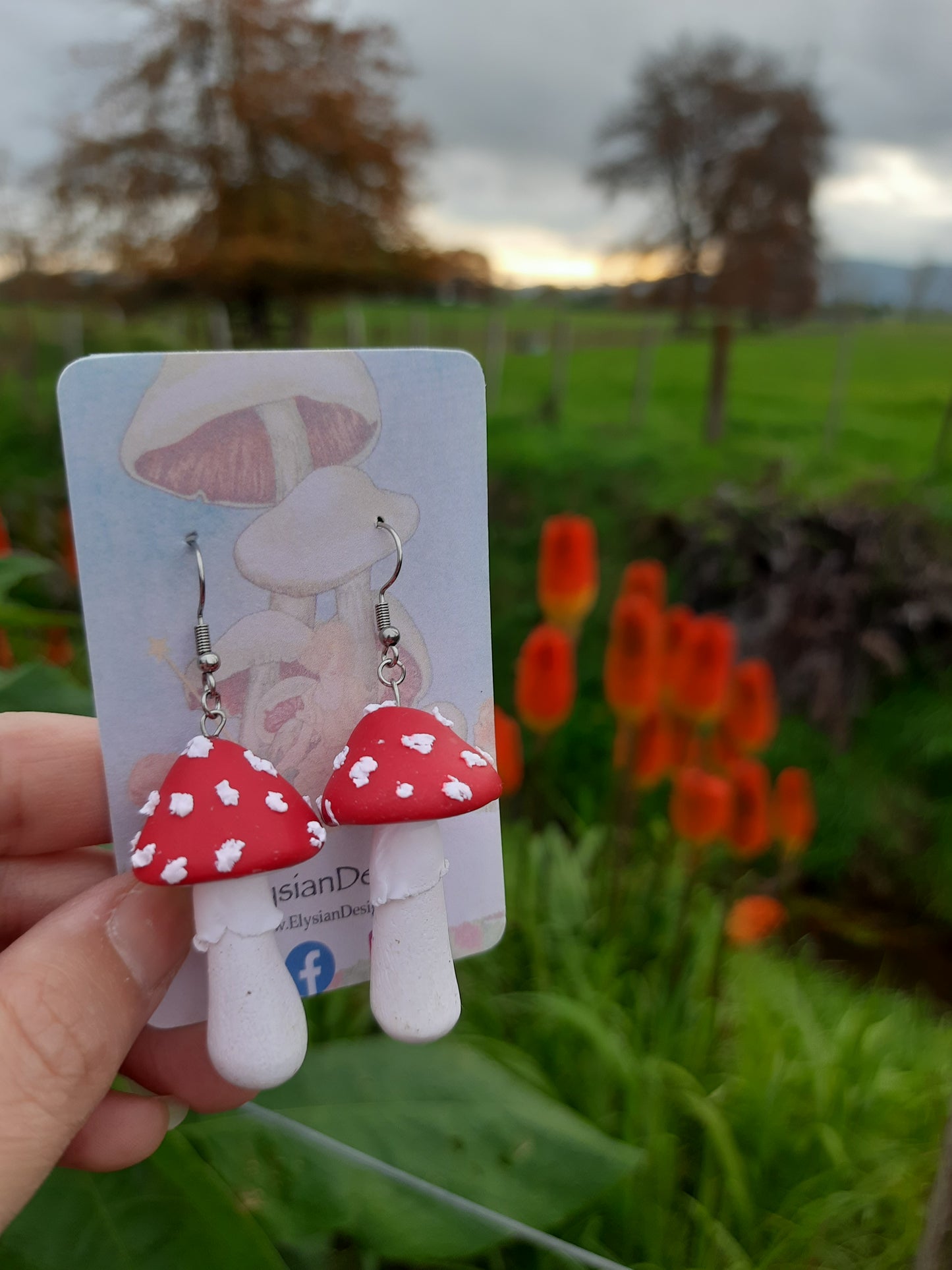 Mushrooms and Toadstools – NZ Polymer Clay Earrings