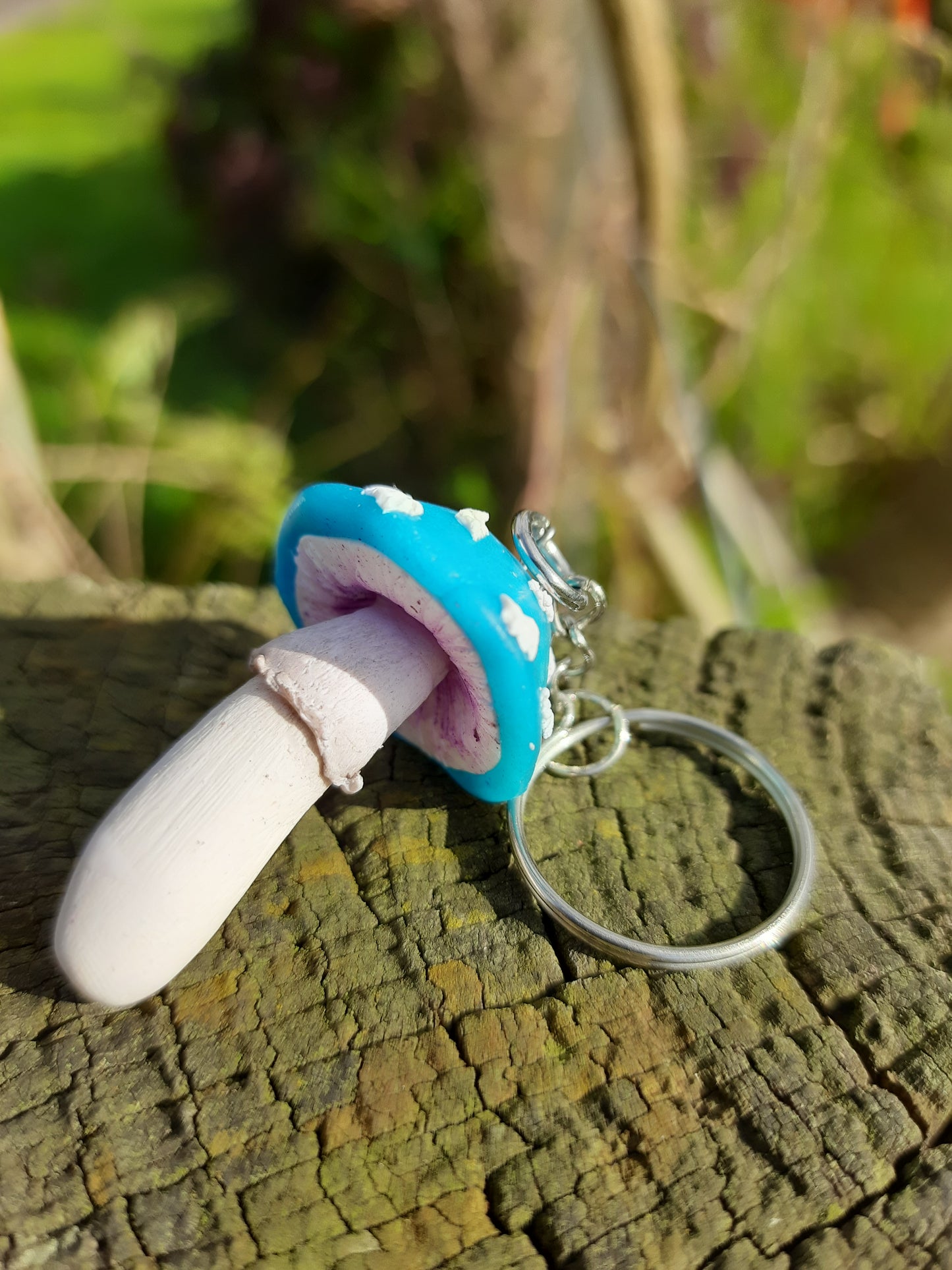 Mushrooms and Toadstools – NZ Polymer Clay Earrings