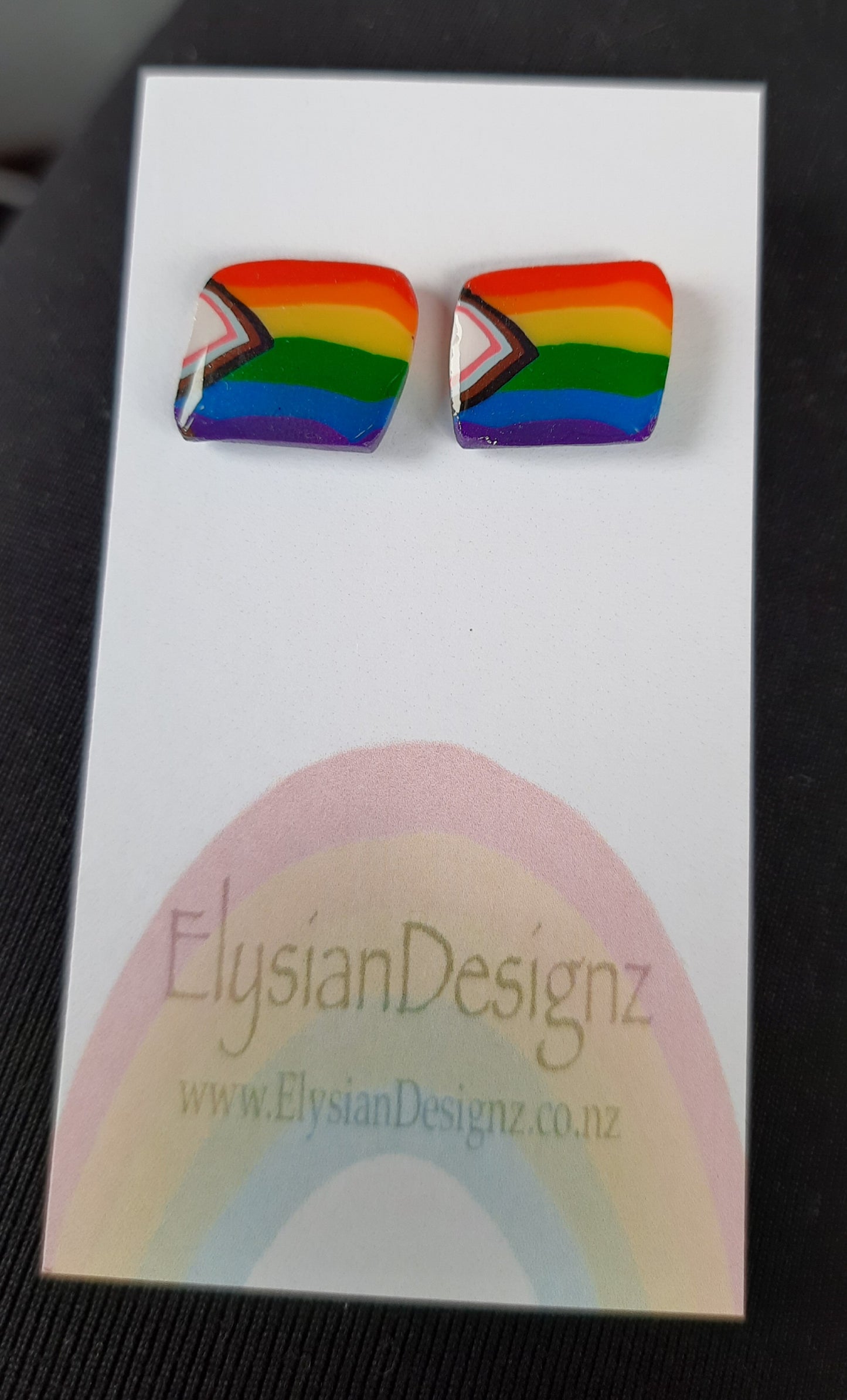 Progress Flag - NZ Polymer Clay Earrings