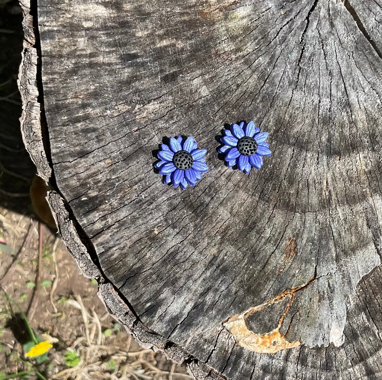 Midnight Daisies – Polymer Clay Earrings NZ