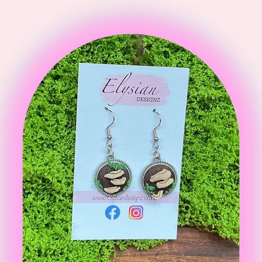 Brackets in frames - NZ Polymer Clay Earrings