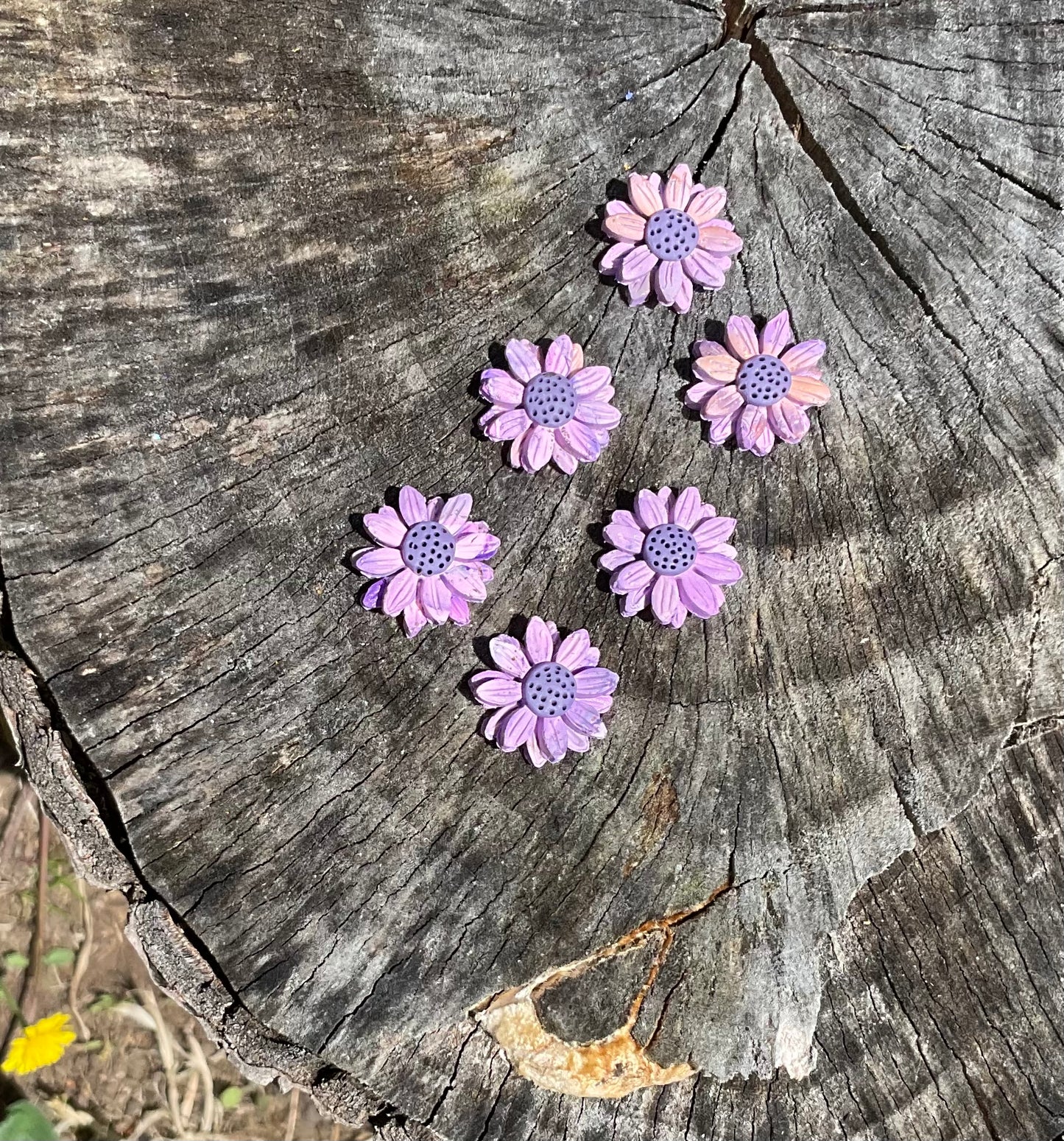 Dusky Daisies – Polymer Clay Earrings NZ