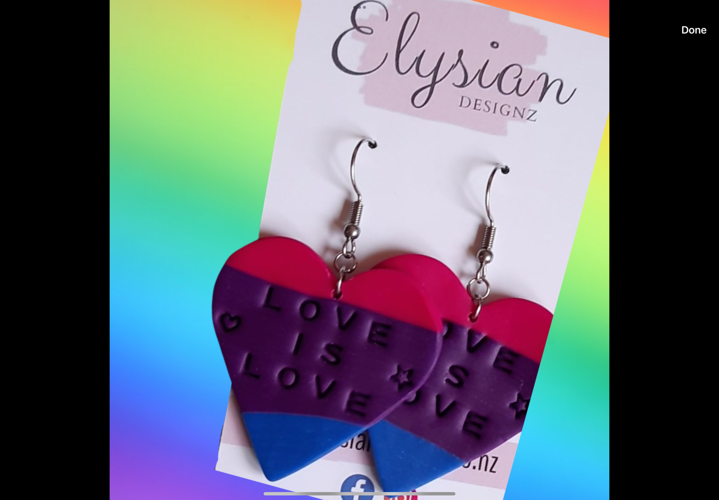 Love Is Love - NZ Polymer Clay Earrings