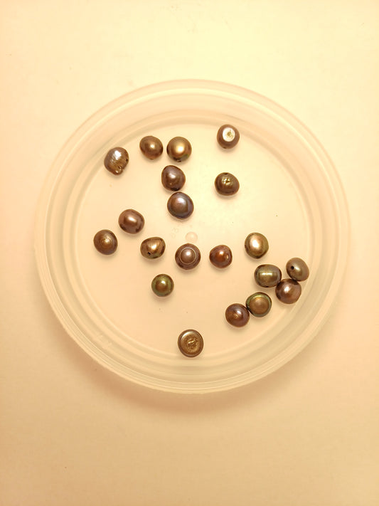 Large Gunmetal Grey Freshwater Pearls ( as shown)
